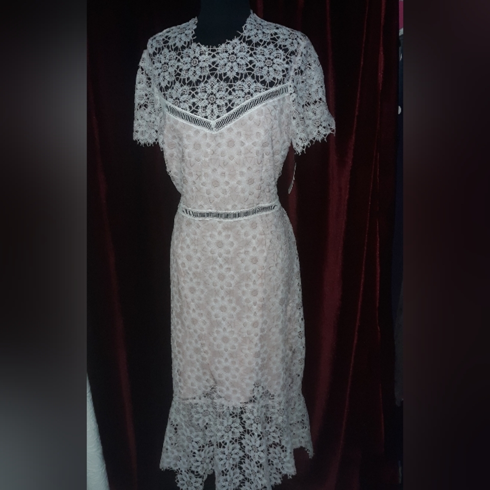 New Tags Saylor Anthropologie Lille Pink Lace Spring Dress L - Picture 2 of 9